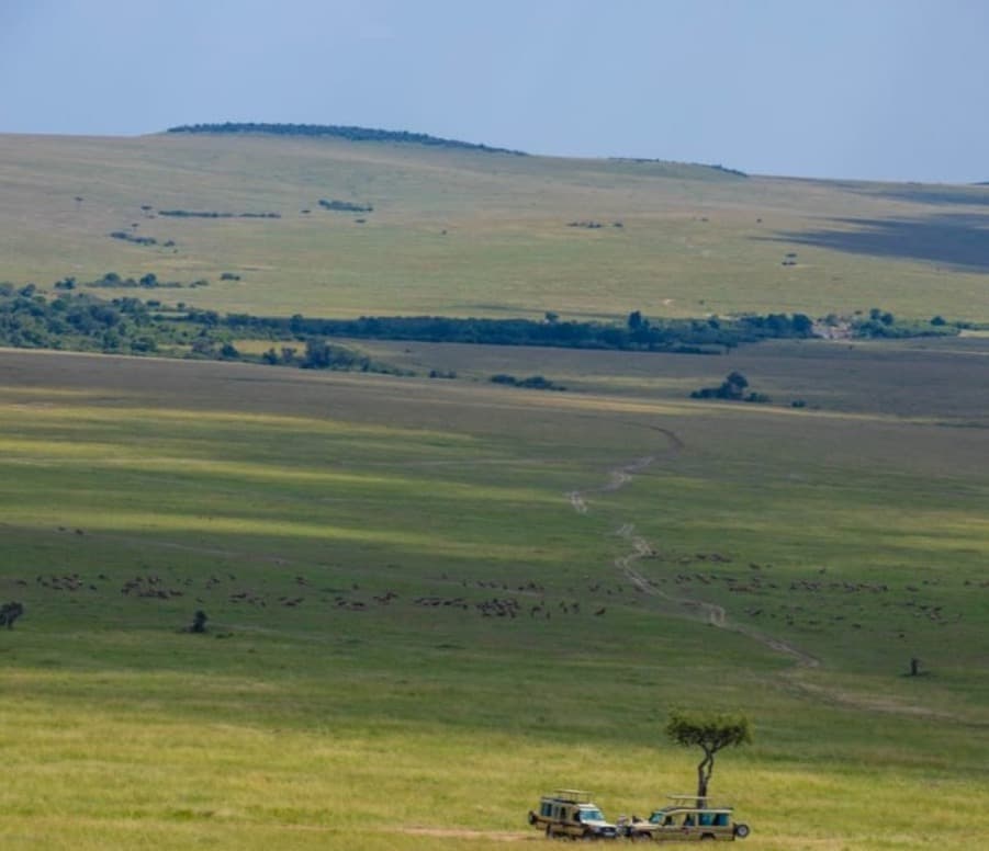 Safari vehicles on the Maasai Mara plains near Endeem Mara Resort