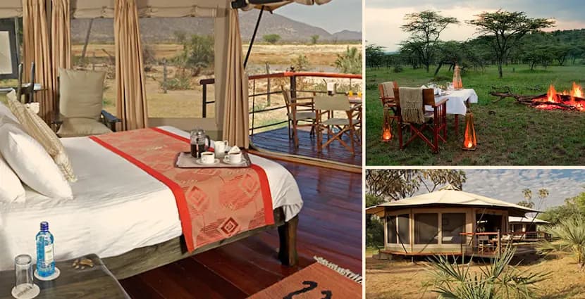 Ashnil Mara Camp Safari Package